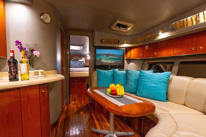 Luxury 42' Yacht Tour in Cabo for Snorkeling and Sunset - Cabo’s sea lions and the famous Arch