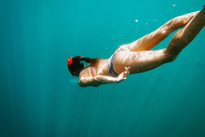 Luxury Snorkel Adventure in Cabo - From the marina to El Arco