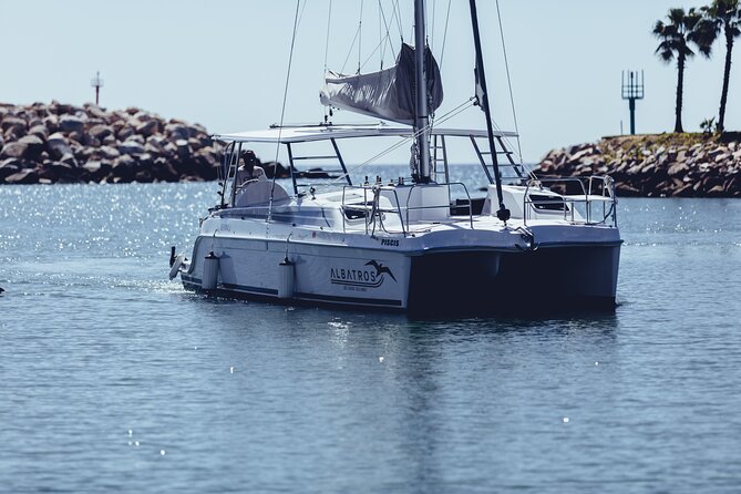 Luxury Snorkel Adventure in Cabo - Lunch, ceviche, and the open bar