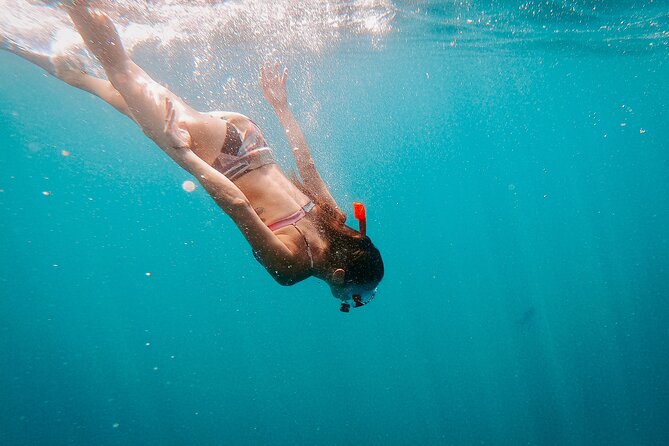 Luxury Snorkel Adventure in Cabo - Is $149 a fair Cabo price?