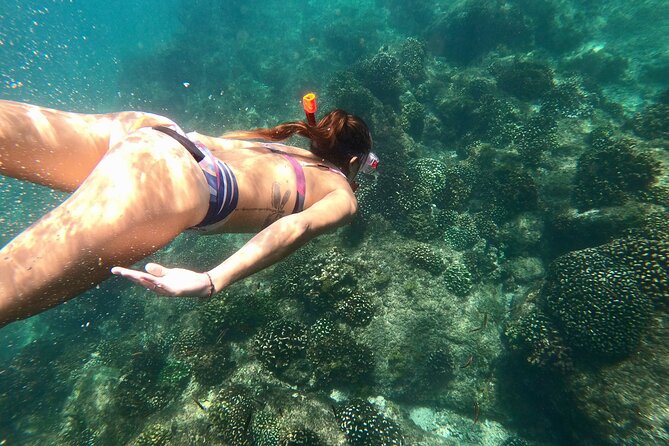 Luxury Snorkel Adventure in Cabo - Hotel pickup and the morning start
