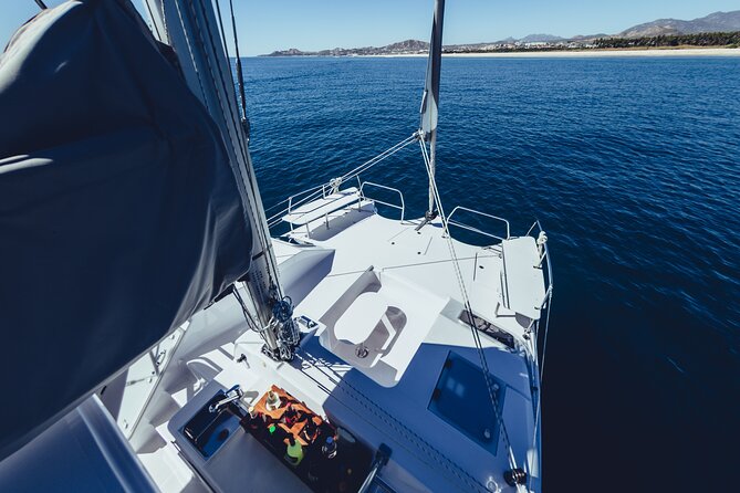 Luxury Whale Watch Cruise to The Arch Los Cabos - A small catamaran makes a big difference