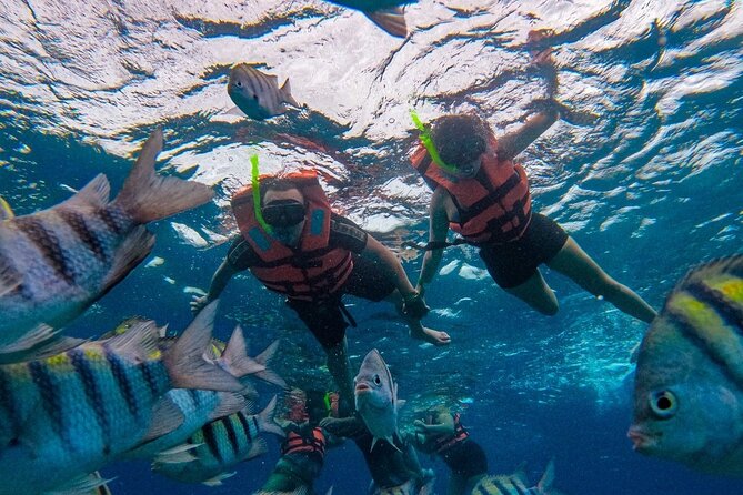 Magnificent Exploration to El Cielo Palancar and Columbia Reefs - El Cielo is beautiful, but it changes the pace