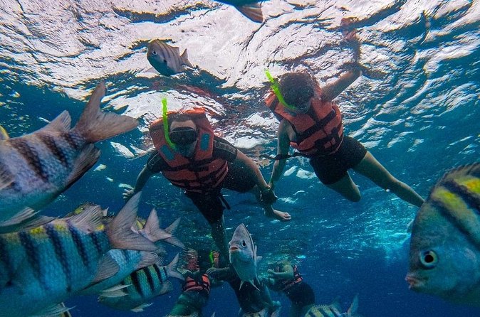 Magnificent Exploration to El Cielo Palancar and Columbia Reefs - El Cielito and the manta ray encounter