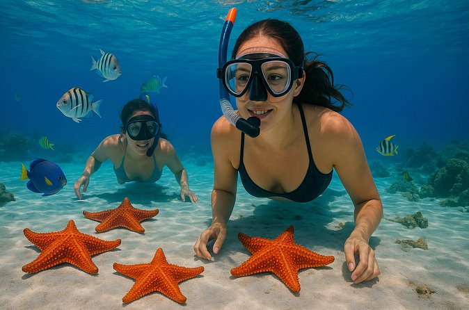 Magnificent Exploration to El Cielo Palancar and Columbia Reefs - What the $23 price really means
