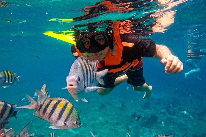Magnificent Exploration to El Cielo Palancar and Columbia Reefs - Group size, comfort, and time on the water