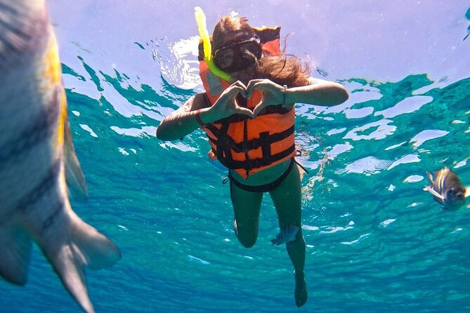 Magnificent Exploration to El Cielo Palancar and Columbia Reefs - Columbia Reef begins the underwater adventure