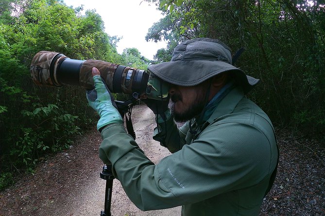 Mahahual and Costa Maya Birdwatching - Starting at 7:00 am from Mahahual