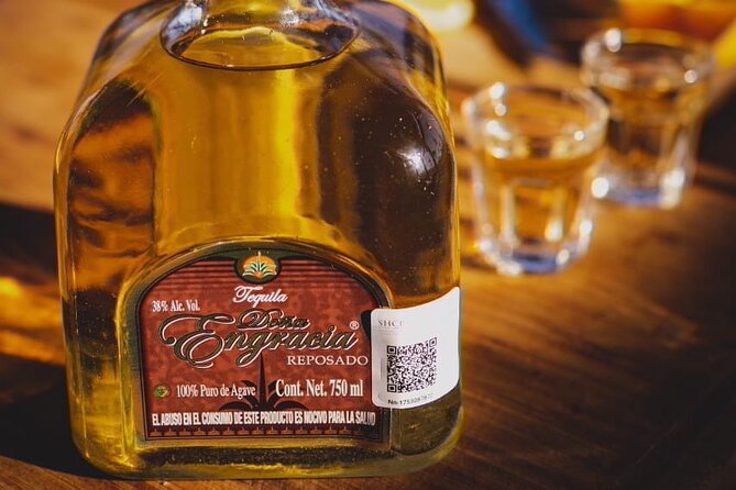 Mahahual Private Tequila Tasting - White, rested, aged, and mezcal samples