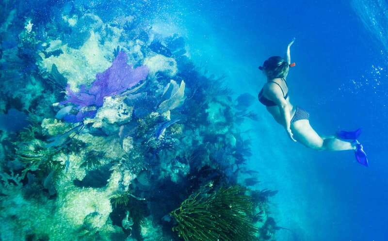 Mahahual: Snorkel Tour in Reef Lagoon - Why the reef lagoon is a smart place to snorkel