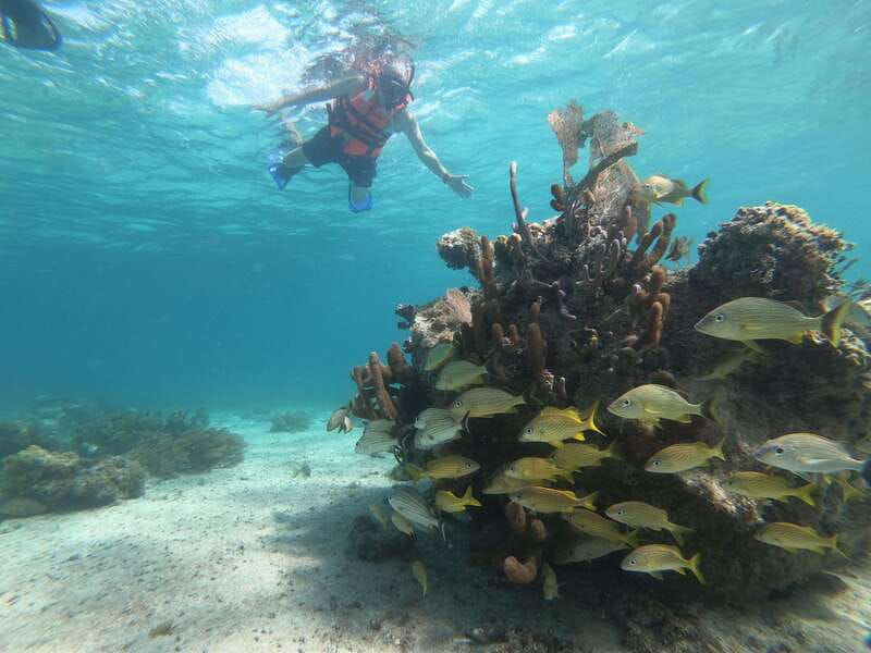 Mahahual: Snorkel Tour in Reef Lagoon - What $37 actually covers