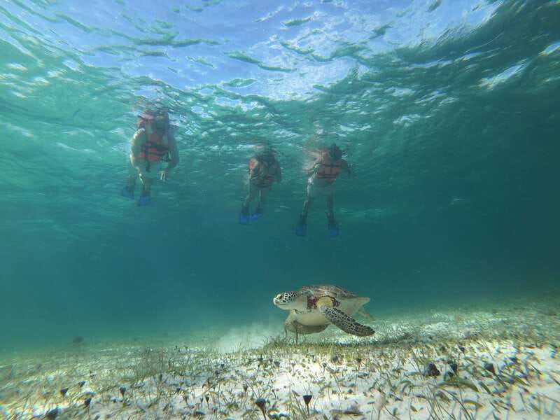 Mahahual: Snorkel Tour in Reef Lagoon - Who will enjoy this most