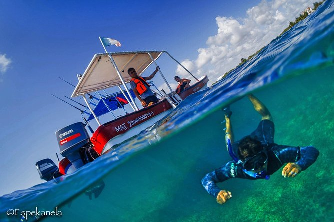 Mahahual Snorkeling Adventure: Turtle Encounter - What the 90-minute outing actually includes