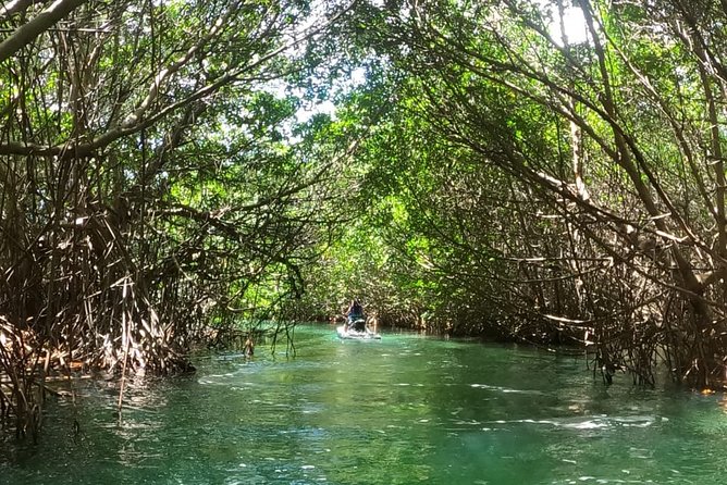 Mangrove and Lagoon Speed Boat Tour - How much driving time will you get?