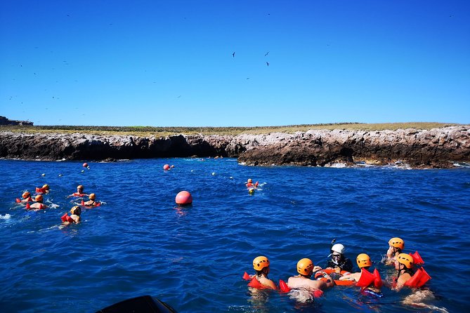 Marietas Islands Snorkel Tour & Hidden Beach - Why the Marietas Islands are worth your morning