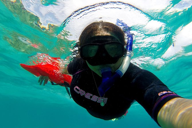 Marietas Islands snorkeling & Hidden beach (w/ restrictions) - The ride to Islas Marietas
