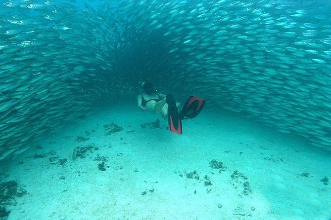 Mayan Adventure from Cancun - Guide service and the human side of the day