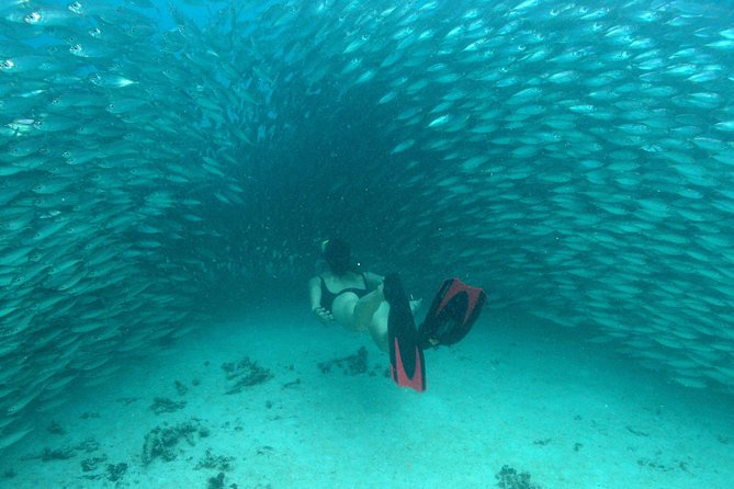Mayan Adventure from Playa del Carmen - Three Mayan water worlds in one outing