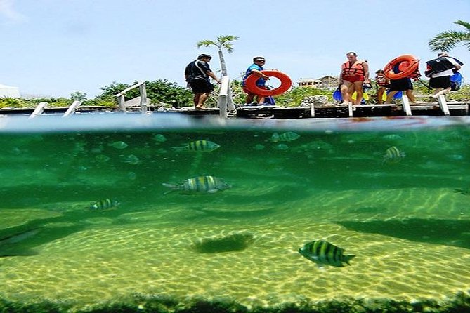 Mayan Adventure from Playa del Carmen - What your guide adds to the experience