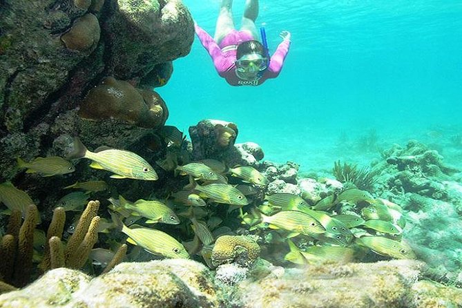 Mayan Adventure from Playa del Carmen - Who will enjoy this tour most?
