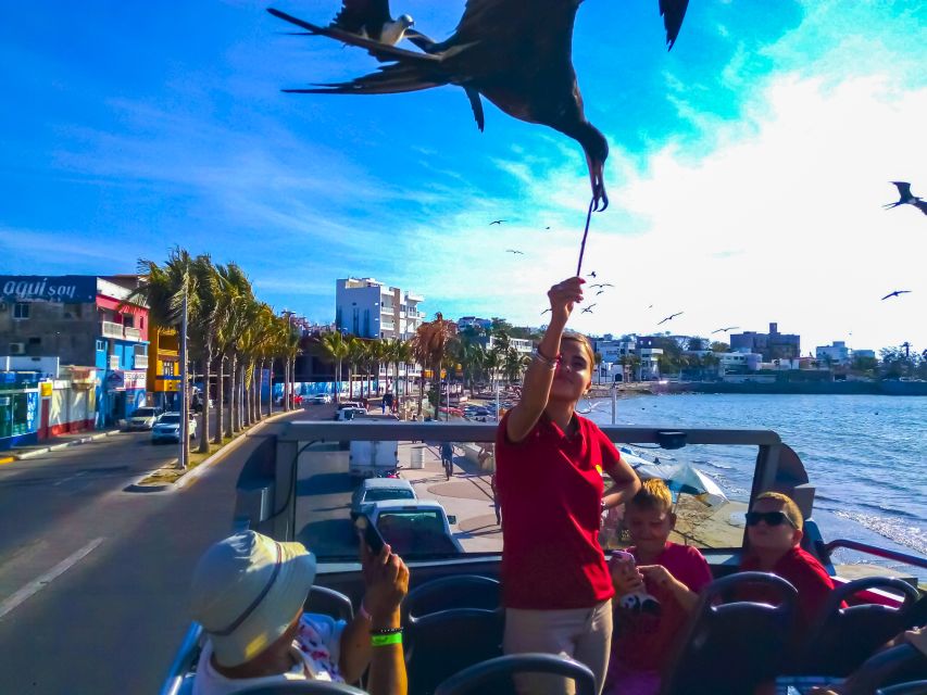 Mazatlán: Double-Decker Bus, Cliff Diving & Walking Tour - The guide can make or break the experience
