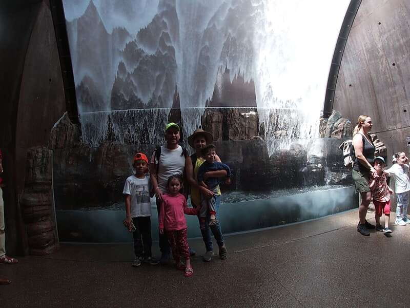 Mazatlan: Grand Aquarium Ticket and City Sightseeing Tour - Feeding manta rays and the optional shark swim