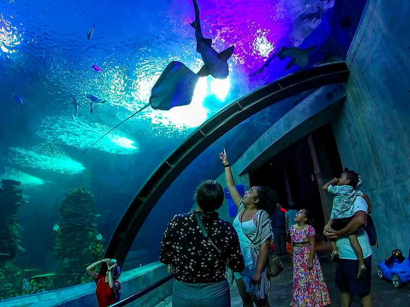 Mazatlan: Grand Aquarium Ticket and City Sightseeing Tour - Exhibits that make the aquarium family-friendly