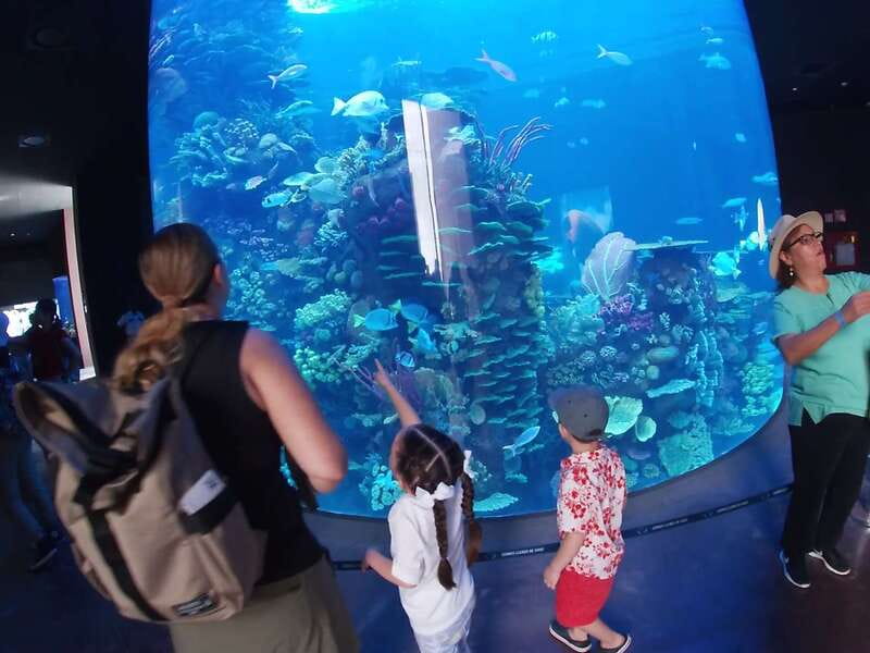 Mazatlan: Grand Aquarium Ticket and City Sightseeing Tour - English and Spanish guide service