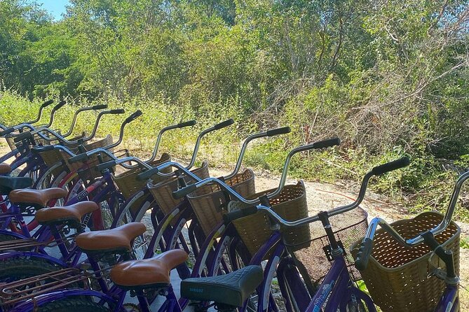 Merida : 4 Santa Barbara Cenotes and Bikes with Lunch - Yucatecan lunch closes the water session