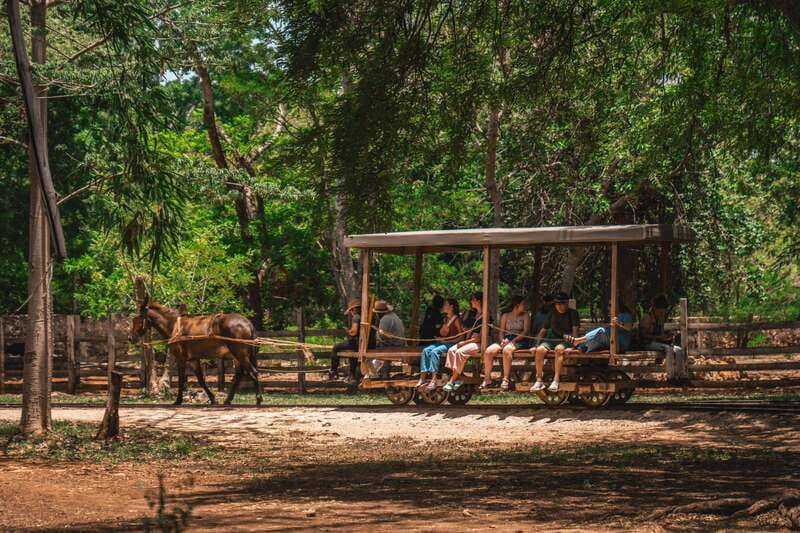 Merida: Hacienda Sotuta de Peon w/ Cenote & Henequen Tour - Who will enjoy this tour most