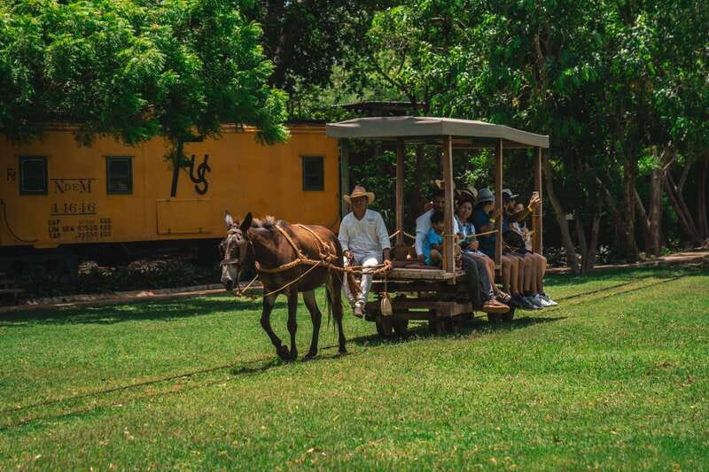 Merida: Hacienda Sotuta de Peon w/ Cenote & Henequen Tour - The working hacienda and the story of henequen