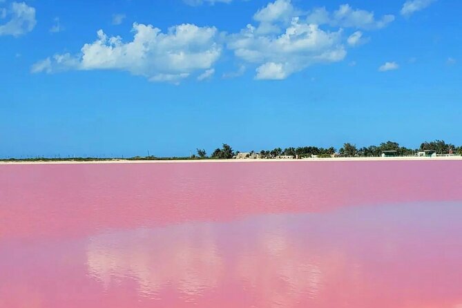Mérida: Las Coloradas and Río Lagartos with Boat Tour and Lunch - The road from Mérida to Las Coloradas