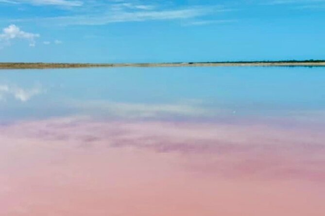 Mérida: Las Coloradas and Río Lagartos with Boat Tour and Lunch - Lunch closes the Río Lagartos visit