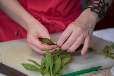 Mexican Cooking Class with Food Market Visit in Mexico City
