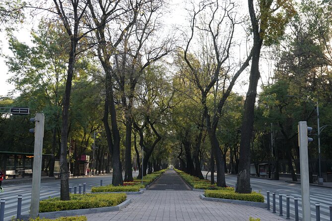 Mexico City: 19 City Highlights Bicycle Tour - From the Hemiciclo a Juárez to Bellas Artes