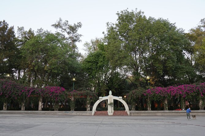 Mexico City: 19 City Highlights Bicycle Tour - What the guides do well