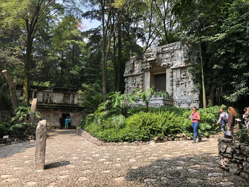 Mexico City: Anthropology Museum Tour with Historian - The Mexica galleries: the Sun Stone, Templo Mayor, and chinampas