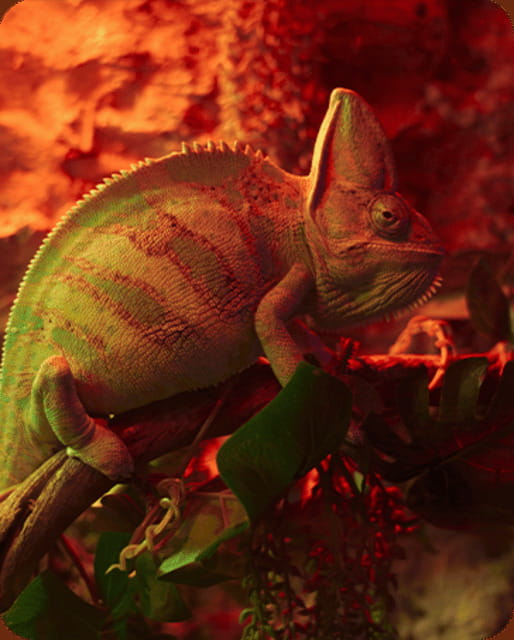 Mexico City: Fast Pass Ticket to Acuarium Inbursa - Key points before you book