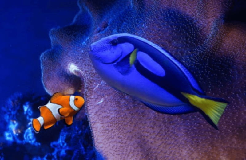 Mexico City: Fast Pass Ticket to Acuarium Inbursa - Sharks, rays, and tropical fish