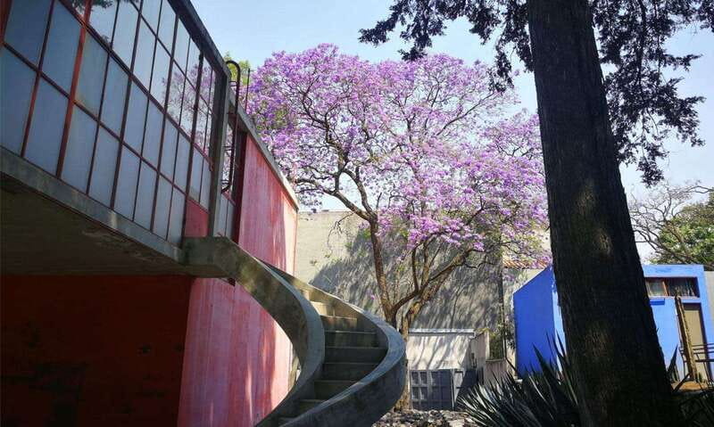 Mexico City: Frida Kahlo-Diego Rivera Studio House Tour - Why This Studio House Deserves Your Time