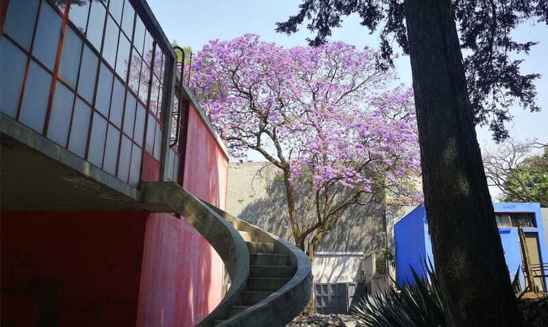 Mexico City: Frida Kahlo-Diego Rivera Studio House Tour - Languages, Timing, And The Return Plan