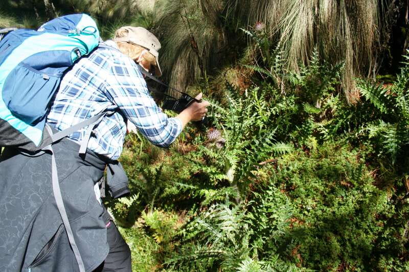 Mexico City: Guided Volcano Trek with Lunch - Key Points Before You Book