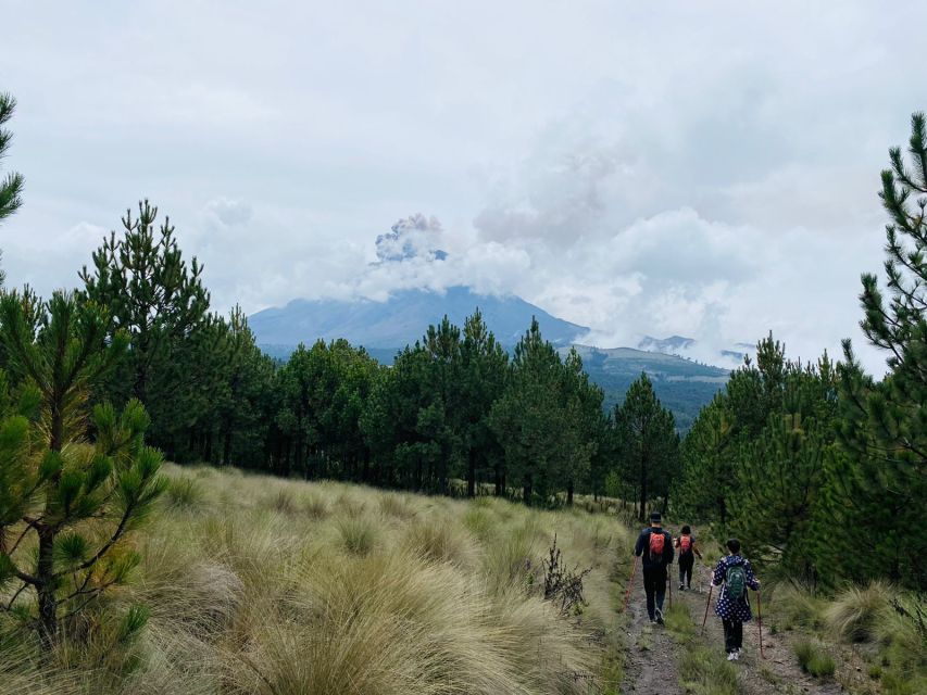 Mexico City: Guided Volcano Trek with Lunch - The Amalacaxco Ravine and Native Nature