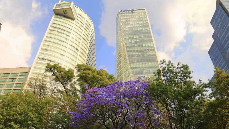 Mexico City: Hop-on Hop-off City Tour by Turibus 1-Day Pass - Is $20 good value?