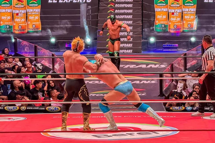 Mexico City: Lucha Libre Show, Walking Tour & Tequila - The atmosphere, noise, and family question