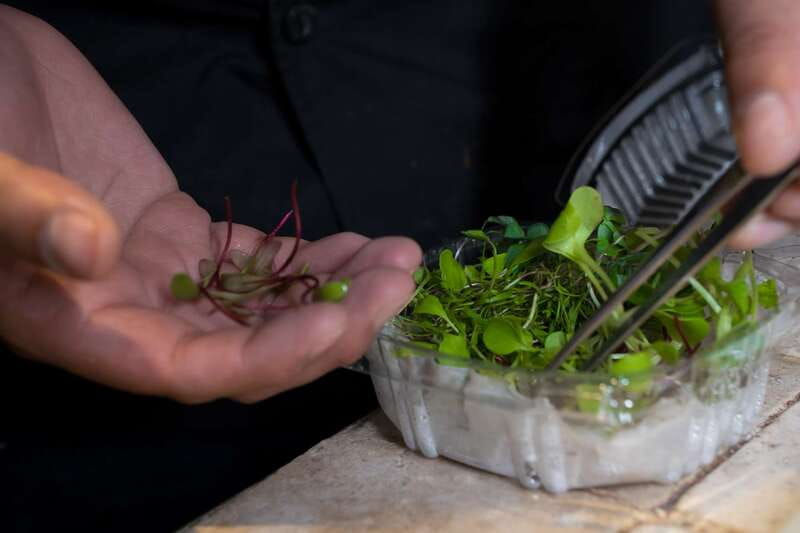 Mexico City: Mexican Cooking Class - The home setting: charm with one practical warning