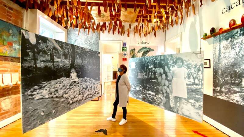 Mexico City: MUCHO Museum of Chocolate Entrance Ticket - The free Spanish guided visit