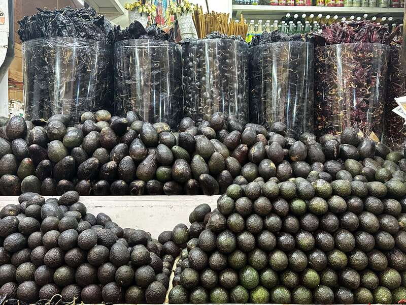 Mexico City: Old Town Food Tour of 7 Tastings & Secret Dish - Mole enchiladas and the story behind the sauce