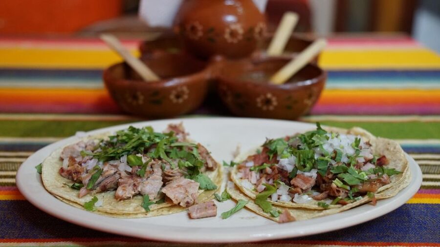 México City: Street Food to Home Cooking Food Tour - Is $110 a fair price?