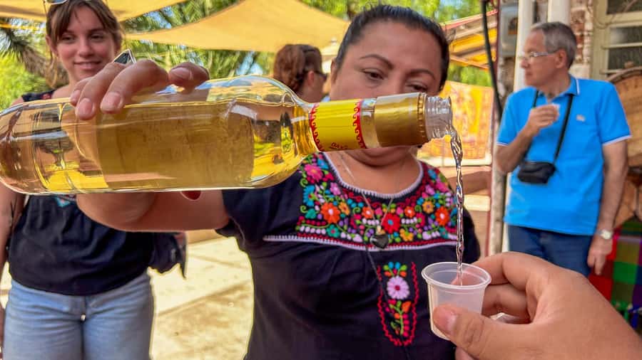 Mexico City: Teotihuacan, Tlatelolco & Guadalupe Shrine Tour - Who should book this tour?